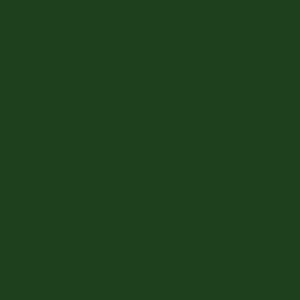 varsity-green-QC-28380